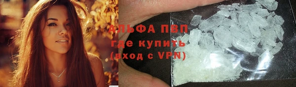 Альфа ПВП Аркадак