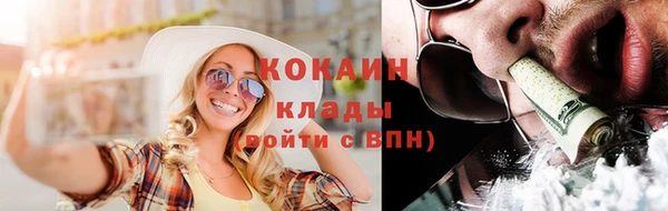 Альфа ПВП Аркадак