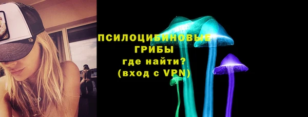 Альфа ПВП Аркадак