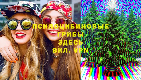 Альфа ПВП Аркадак
