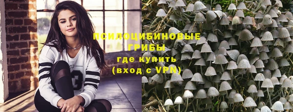 Альфа ПВП Аркадак